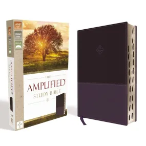 Amplified Study Bible Purple (Imitation Leather With Thumb Index)