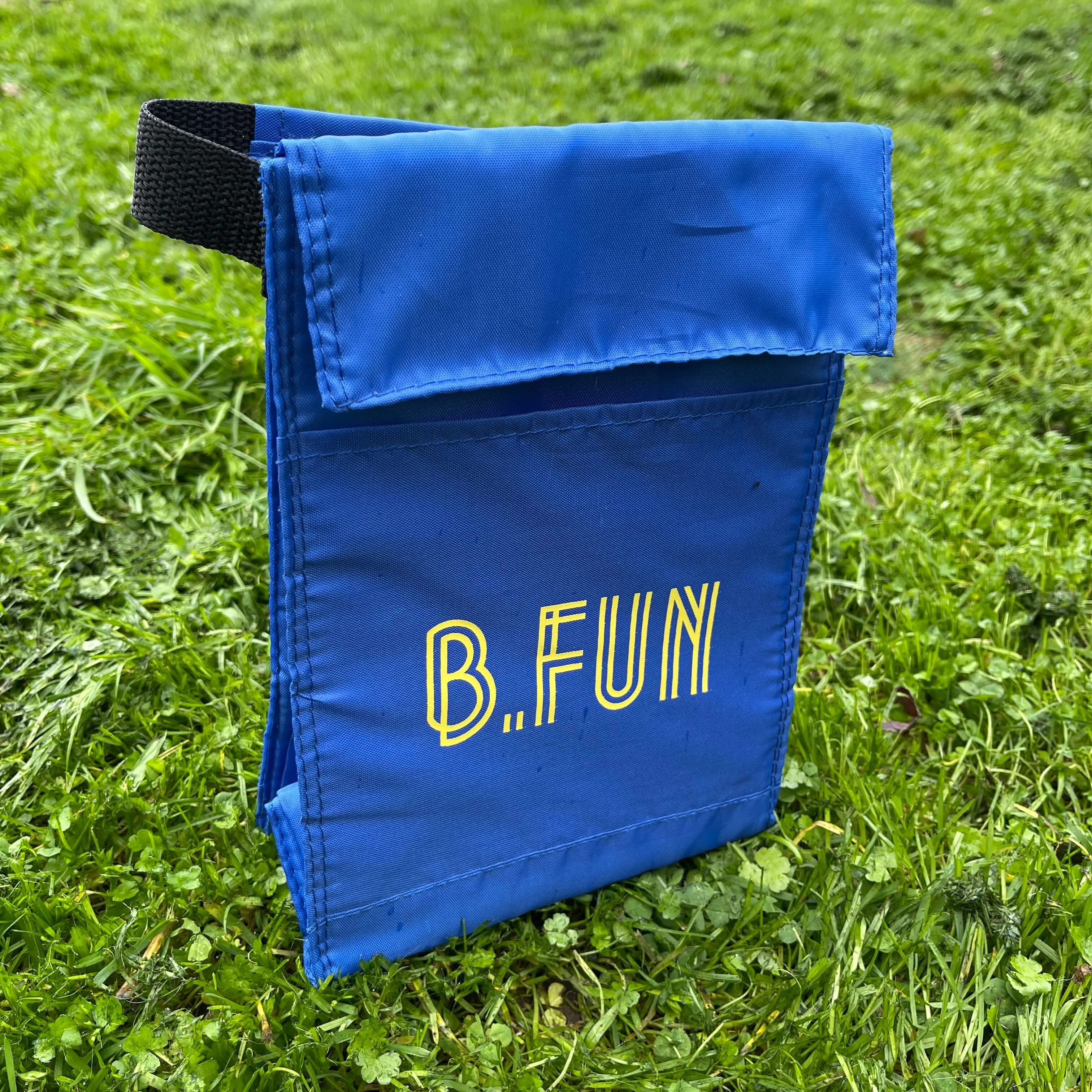 B FUN Lunch Cooler Bag