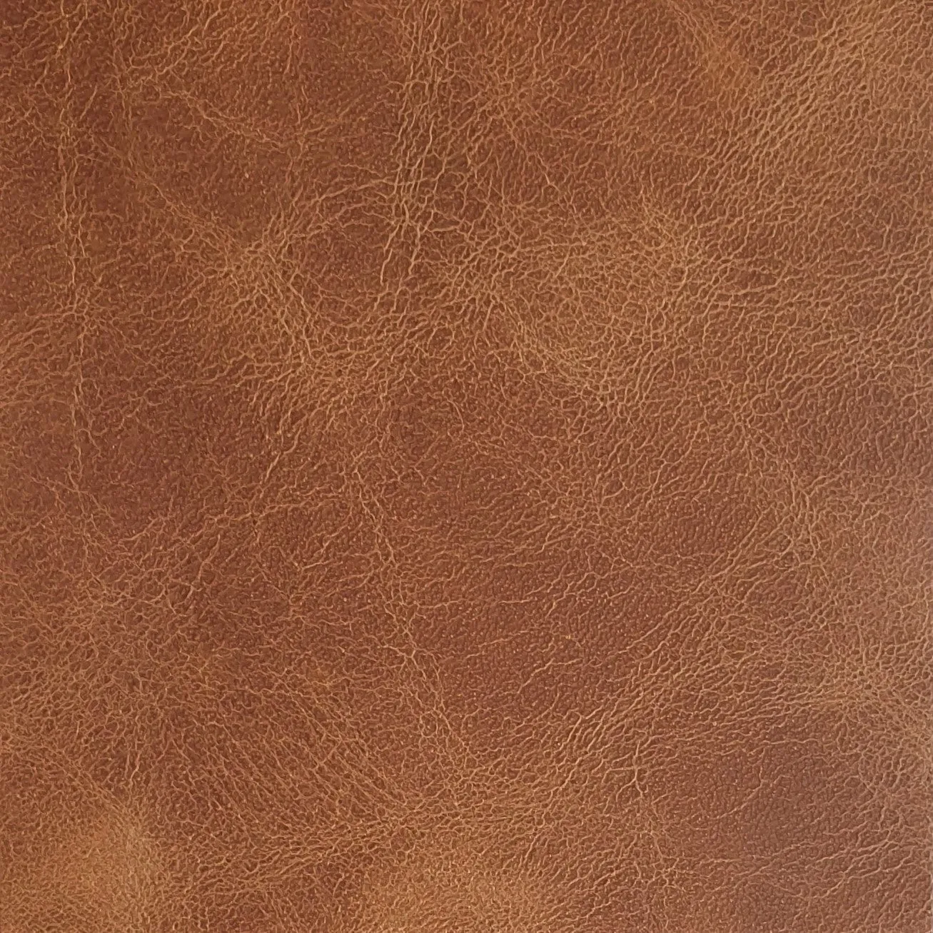 Brumby Upholstery Leather - FREE SHIPPING