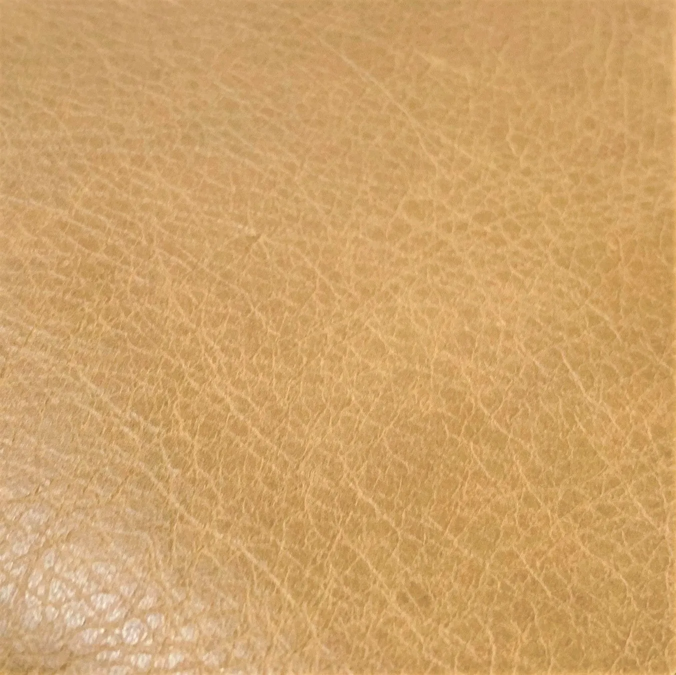 Brumby Upholstery Leather - FREE SHIPPING