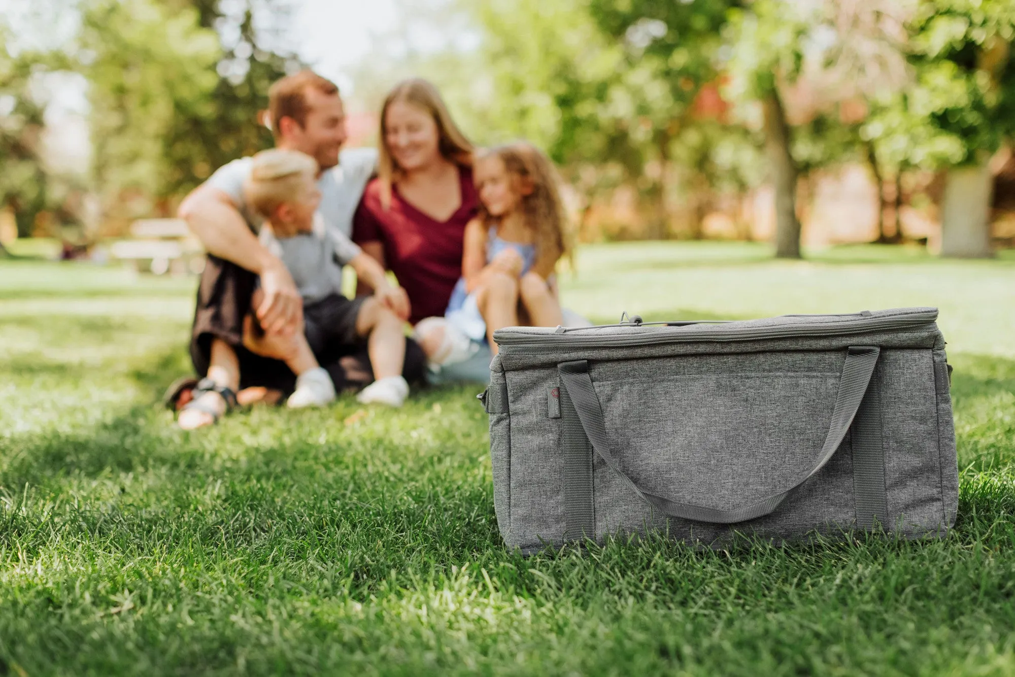 Cornell Big Red - 64 Can Collapsible Cooler