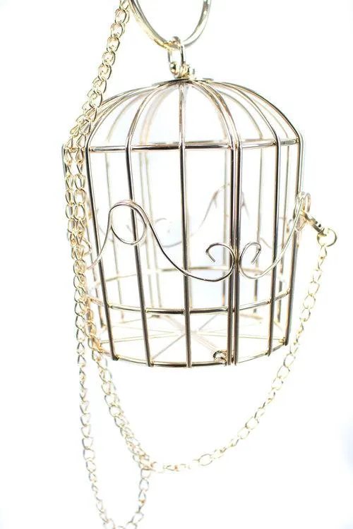 metal bird cage gold spiral bird embroidered pouch evening bag clutch- Tweety