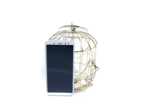 metal bird cage gold spiral bird embroidered pouch evening bag clutch- Tweety