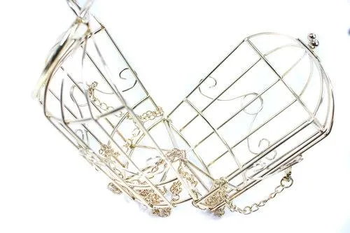 metal bird cage gold spiral bird embroidered pouch evening bag clutch- Tweety