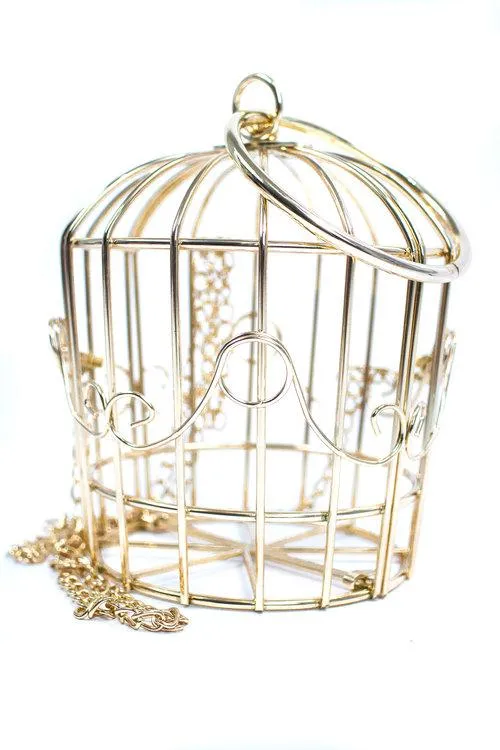 metal bird cage gold spiral bird embroidered pouch evening bag clutch- Tweety