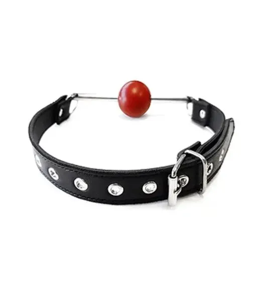 Rouge Ball Gag with Removable Ball and Stainless Steel Rod Adjustable Strap