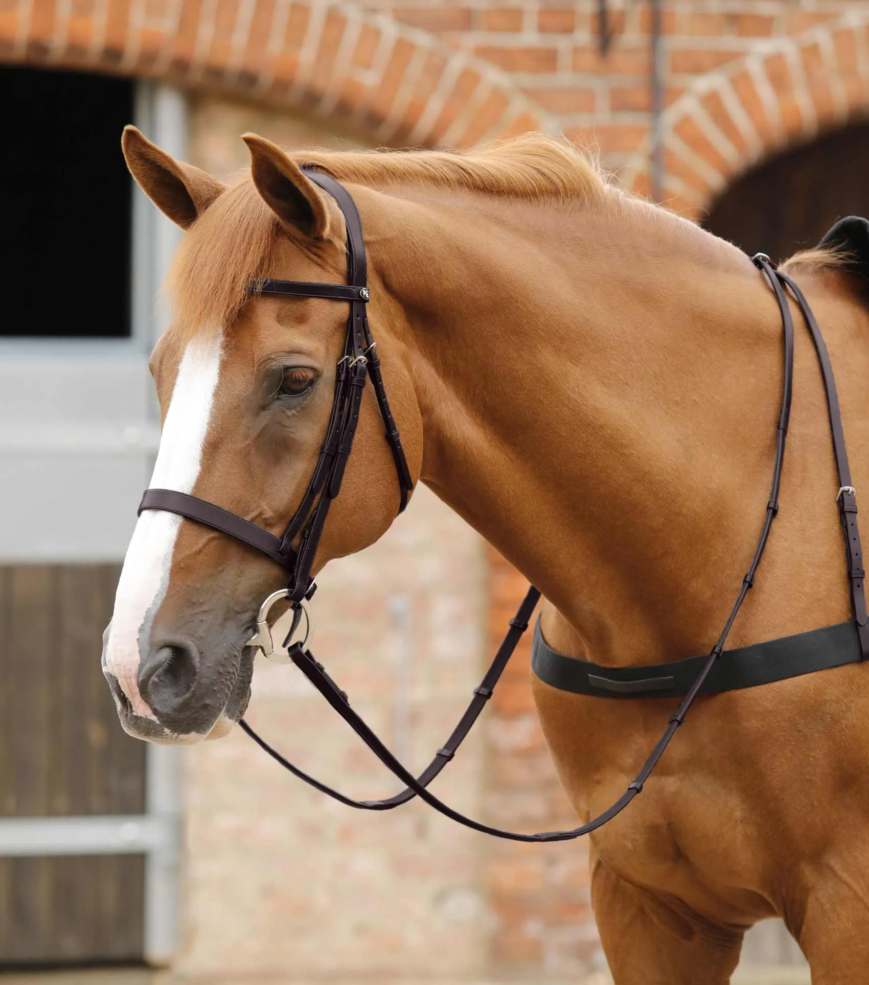 Salvatore Rubber & Leather Grip Reins Brown